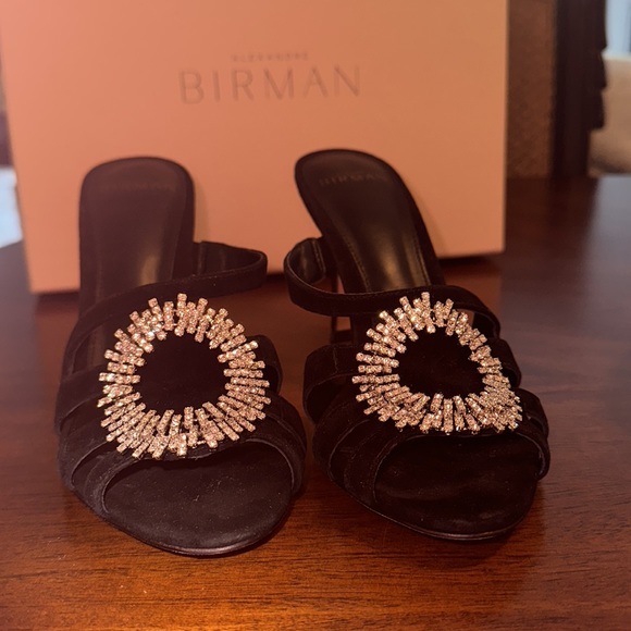 NEW‼️ exquisite ALEXANDRE BIRMAN Alicia Suede Embellished Mules - Picture 11 of 16